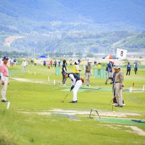 새재배 이모저모